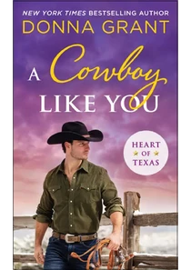 A Cowboy Like You Book