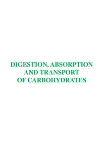 Digestion Of Carbohydrates