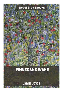 Finnegans Wake Novel