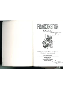 Frankenstein Novel By Mary Shelley