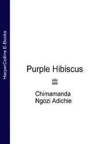 Purple Hibiscus