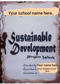Sustainable Development Class 10 Project