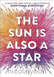 The Sun Is Also A Star Novel Book