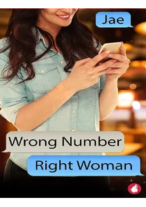 Wrong Number, Right Woman Book