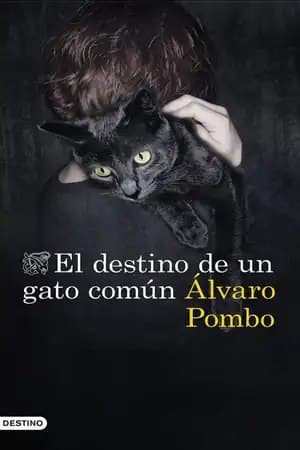 El destino de un gato común