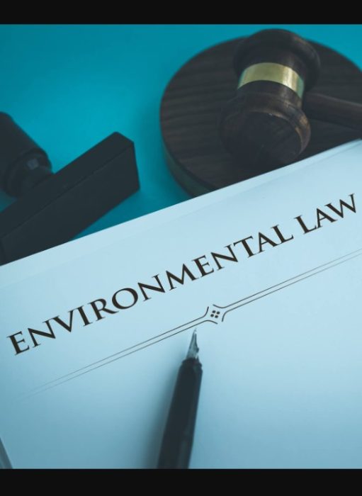 Environment Court Rules 2000