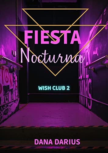 Fiesta nocturna