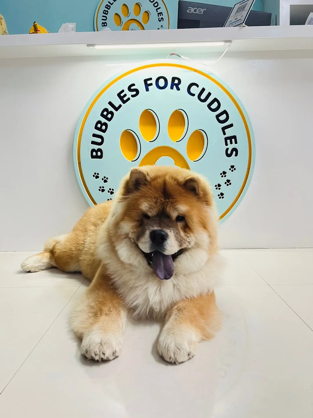 Bubbles Pet Spa in Malad West,Mumbai - Best Pet Grooming Services in Mumbai  - Justdial
