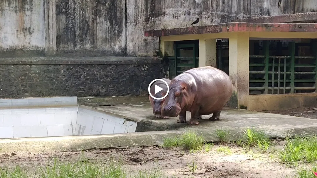 Byculla Zoo House Park - Mumbai - Maharashtra 