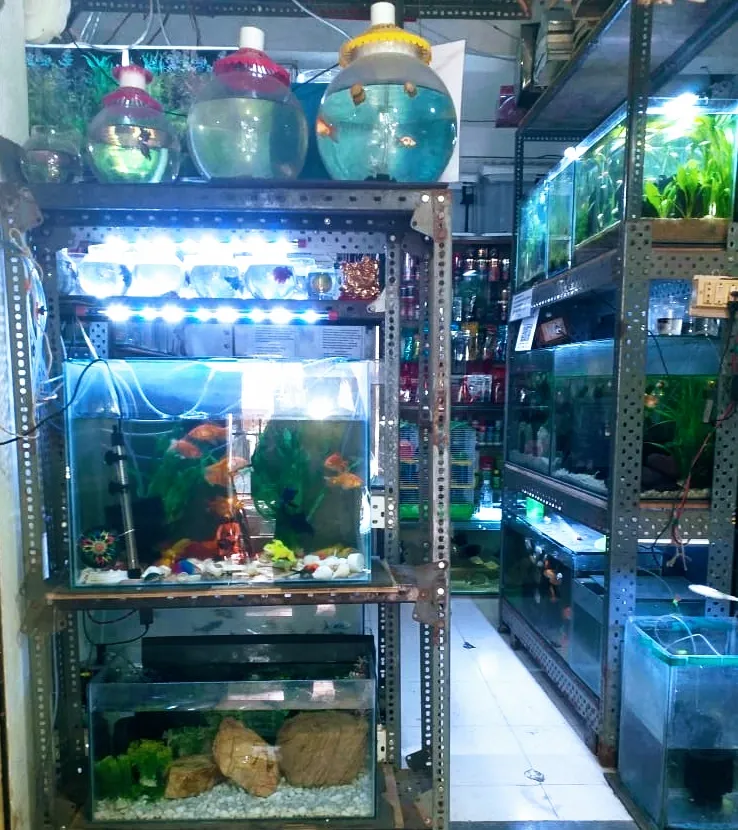 Pet shop hotsell aquarium near me