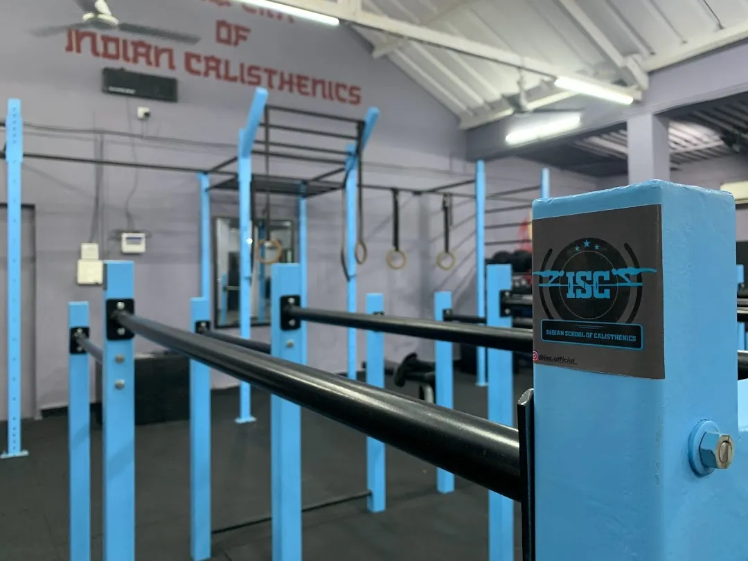 School of best sale calisthenics rig