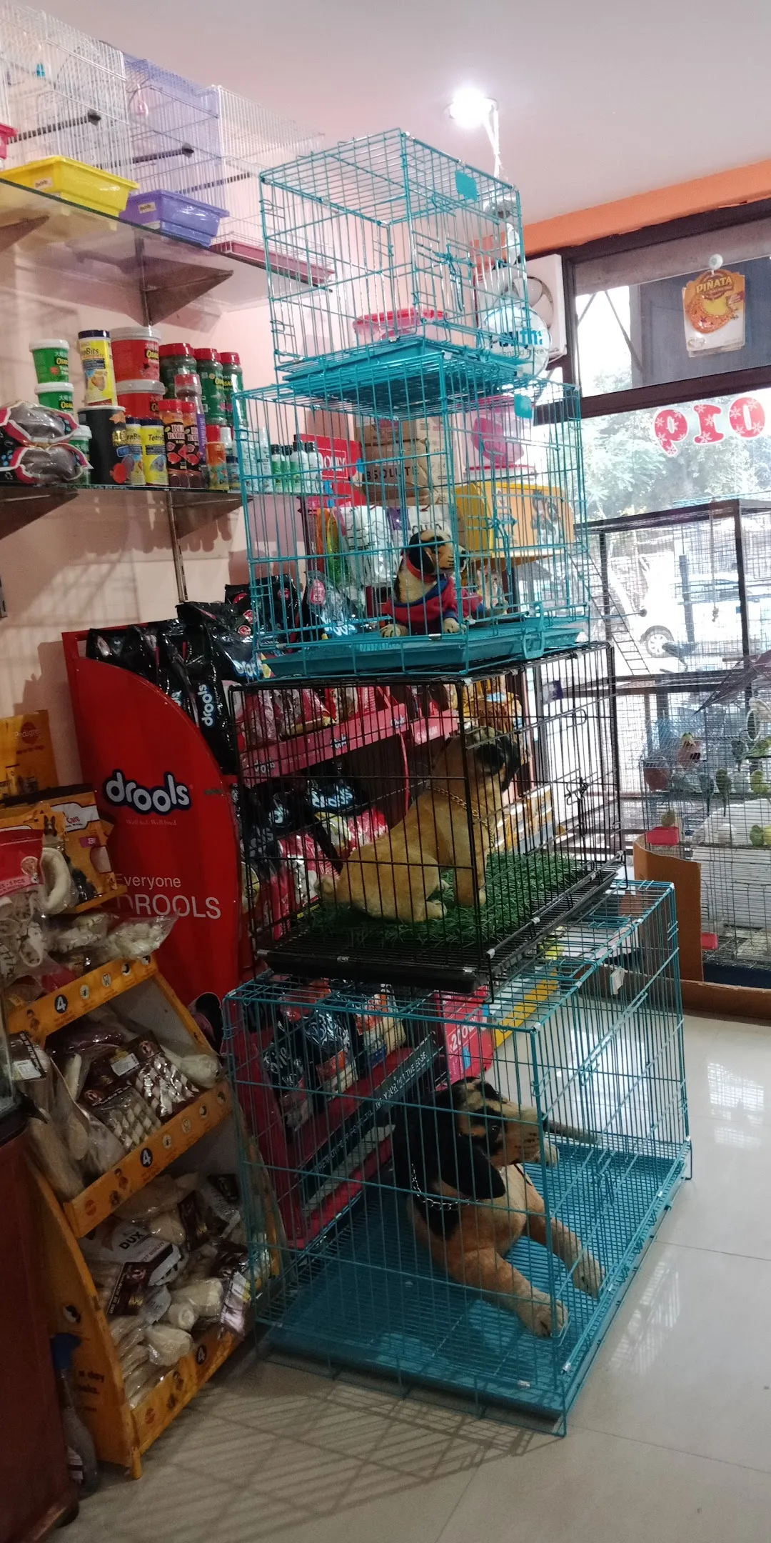 Pet accessories hotsell shops near me