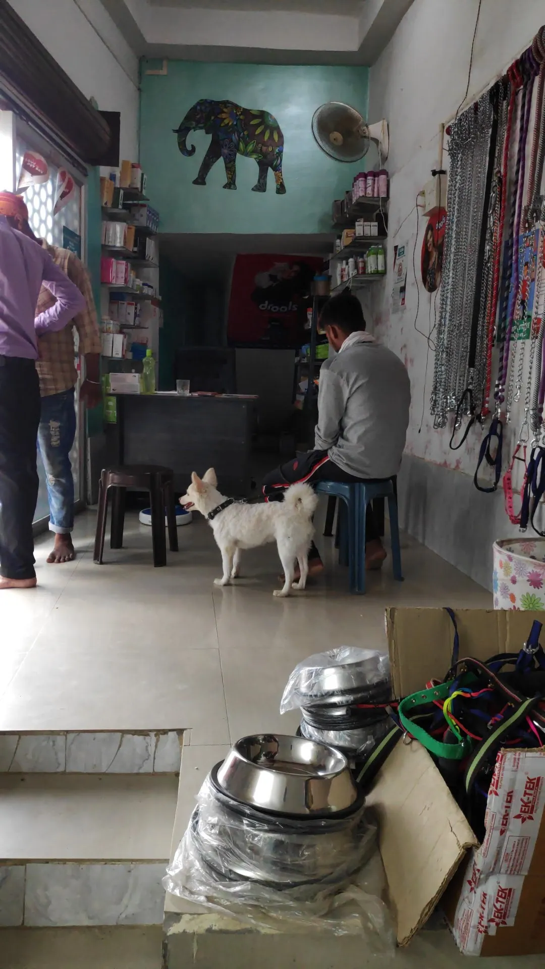 Best dog 2024 shop in kolkata