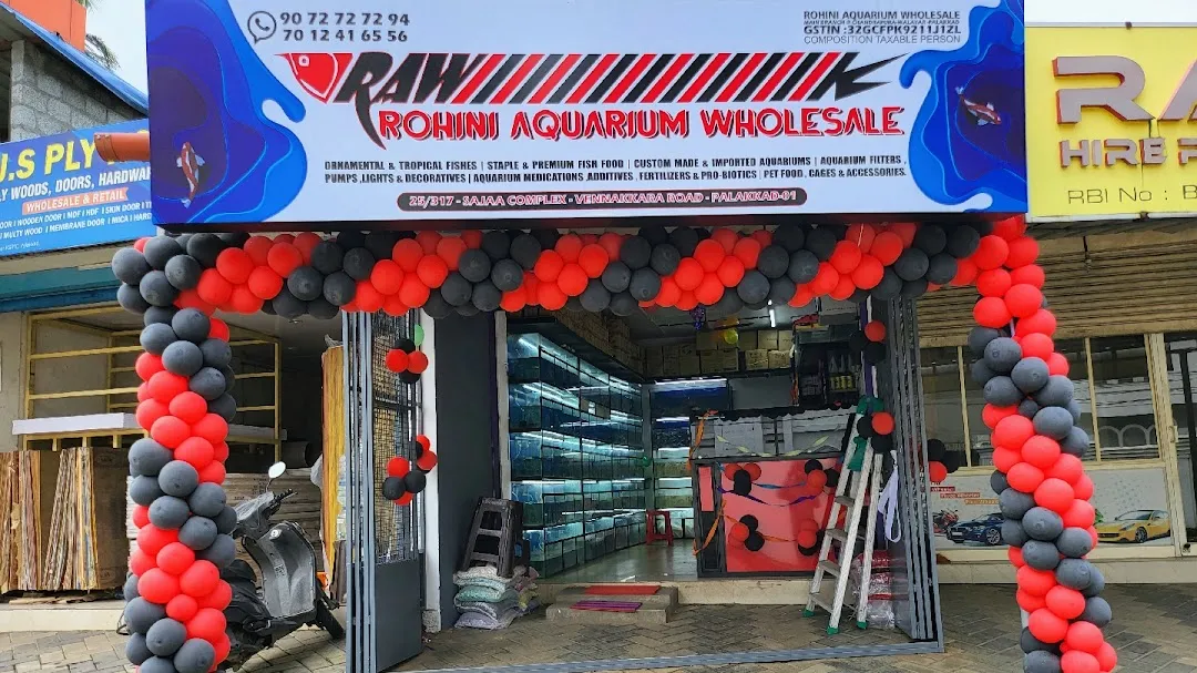 Aquarium 2024 wholesale shop