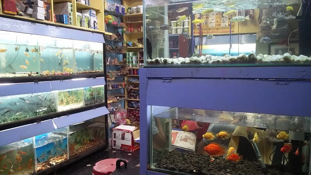 Aqua pet clearance store near me