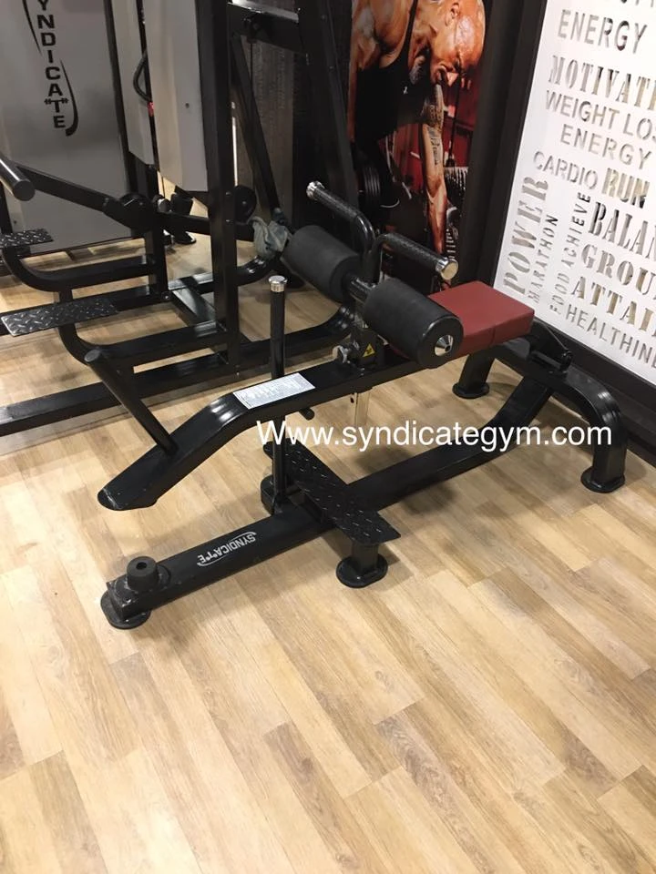 Syndicategym best sale