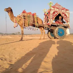 299 per person camel safari Pushkar