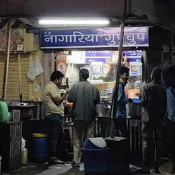 A.K. Nagariya Gupchup Centre (Street food)