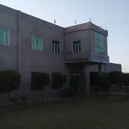 A. V. M. School