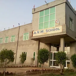 A. V. M. School