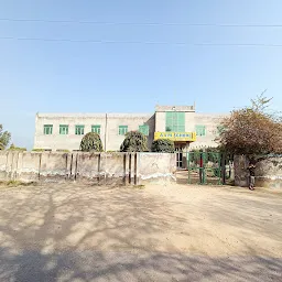 A. V. M. School