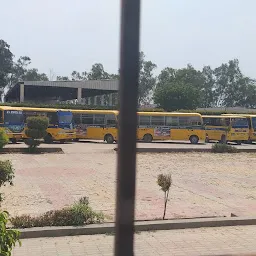 A V Vidya Mandir School Cheeka Tatiana