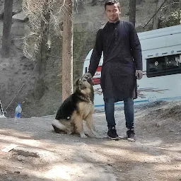 mav travels (a2z himachal)