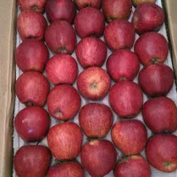 AA ASHOK FRUIT COMPANY, Fruit Wholesalers