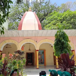 Aadi Badri Narayan Ji & Shri Shatrughan Ji Ka Prachin Mandir