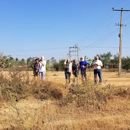 ಆಲದ ಮರ - ಬೆಂಘಾಲೆನ್ಸಿಸ್ ಮೊರೇಸಿ