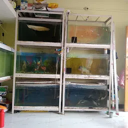 Aarav Aquarium Shop