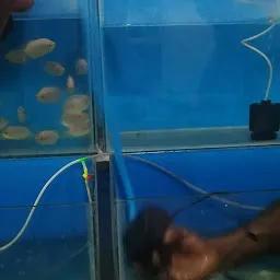 AARBEE Aquarium and Pets