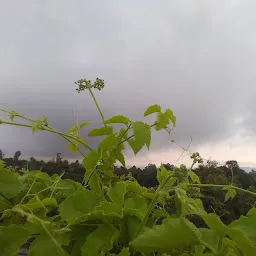 Aarogya Flour Mills Jiyapota