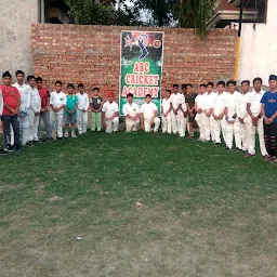 ABC CRICKET ACADEMY