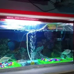 Abhinandan aquarium fish