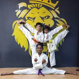 Academy Of Martial Art Association (Karate Class)