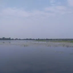 Adilabad Haritha Vanam (ఆదిలాబాద్ హరితవనం) Mavala Park