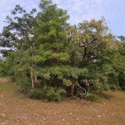 Adilabad Haritha Vanam (ఆదిలాబాద్ హరితవనం) Mavala Park