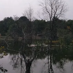 Adilabad Haritha Vanam (ఆదిలాబాద్ హరితవనం) Mavala Park