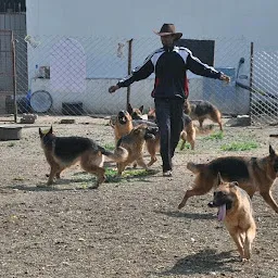 Aditya Raut Dog Kennel