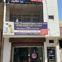 Advance Veterinary Medical Center Hisar