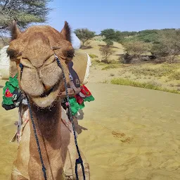 Adventure Travel Agency Camel Safari