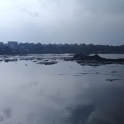 Adyar Bridge