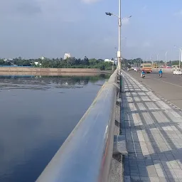 Adyar Bridge