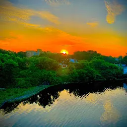 Adyar River