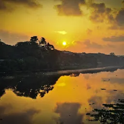 Adyar River