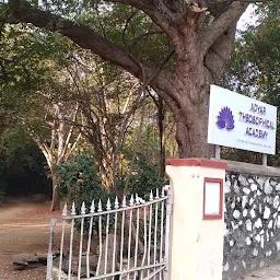 Adyar Theosophical Academy