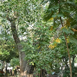 Adyar Trijunction Public Park