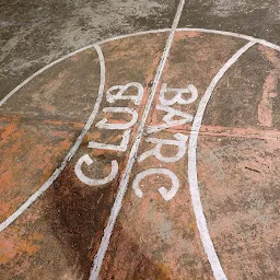 AECS1 Basketball Court