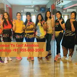 Aerobics Certificate Course